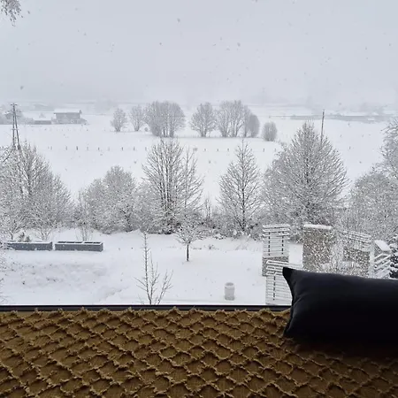 Cozyfox *